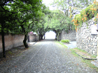 A quiet backstreet in the village of Ajijic
